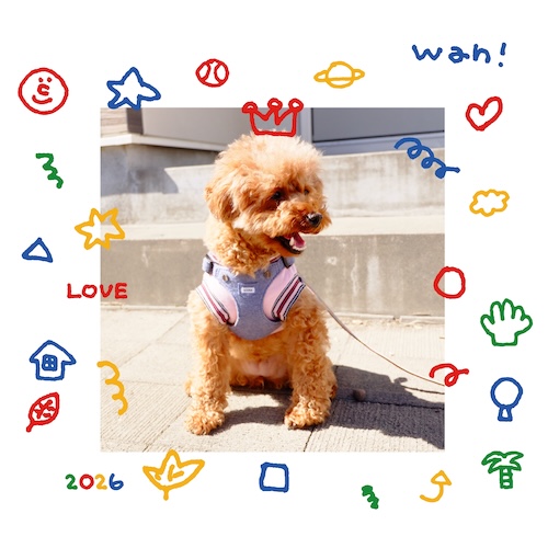 colorful stamp