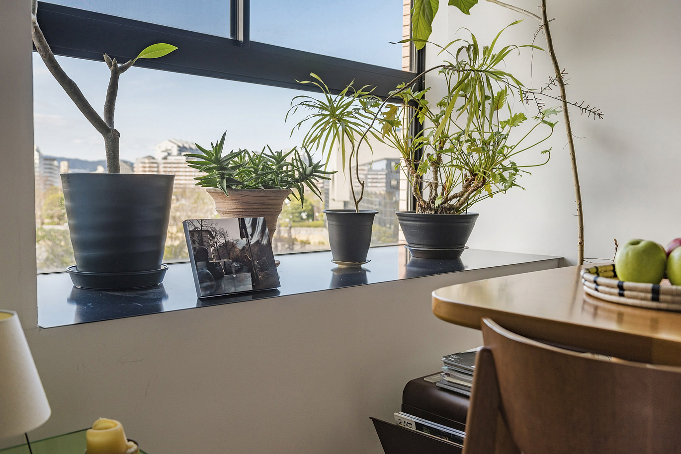 窓際に並ぶ観葉植物とテーブル