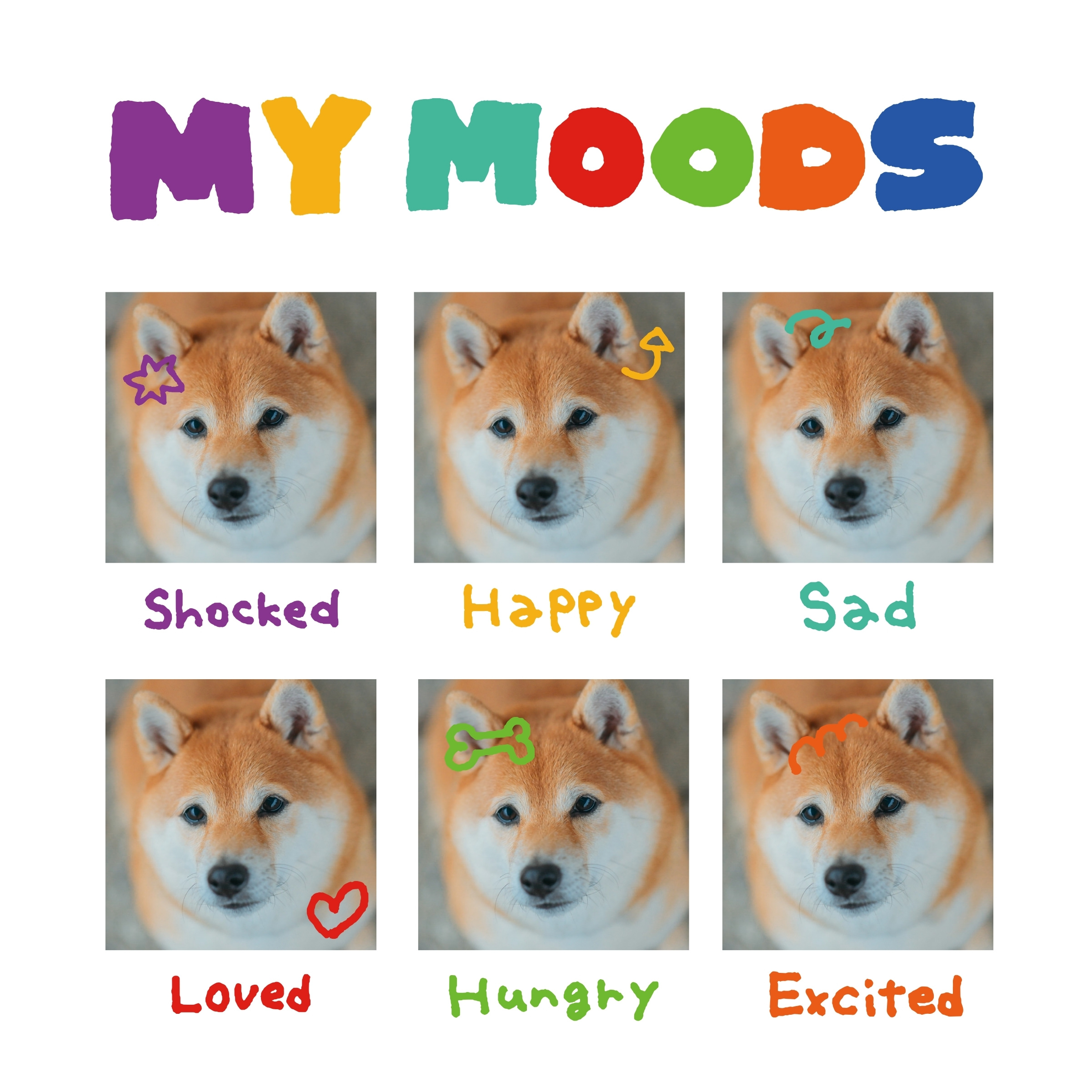 MY MOODS
