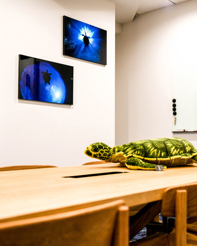 会議室のような場所の白い壁に、海中を泳ぐウミガメを写した2枚の写真パネルが飾られ、手前のテーブルには大きなウミガメのぬいぐるみが置かれている。