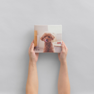 トイプードルのWALL DECOR キャンバスを、両手で掲げる様子